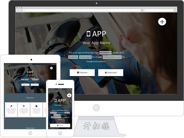 APP开发者项目技术服务编程软件开发主页网站模板 效果图