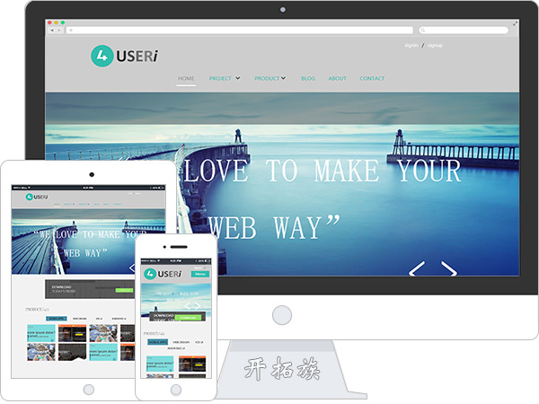 网页web ui设计开发项目开发公司官网企业网站模板